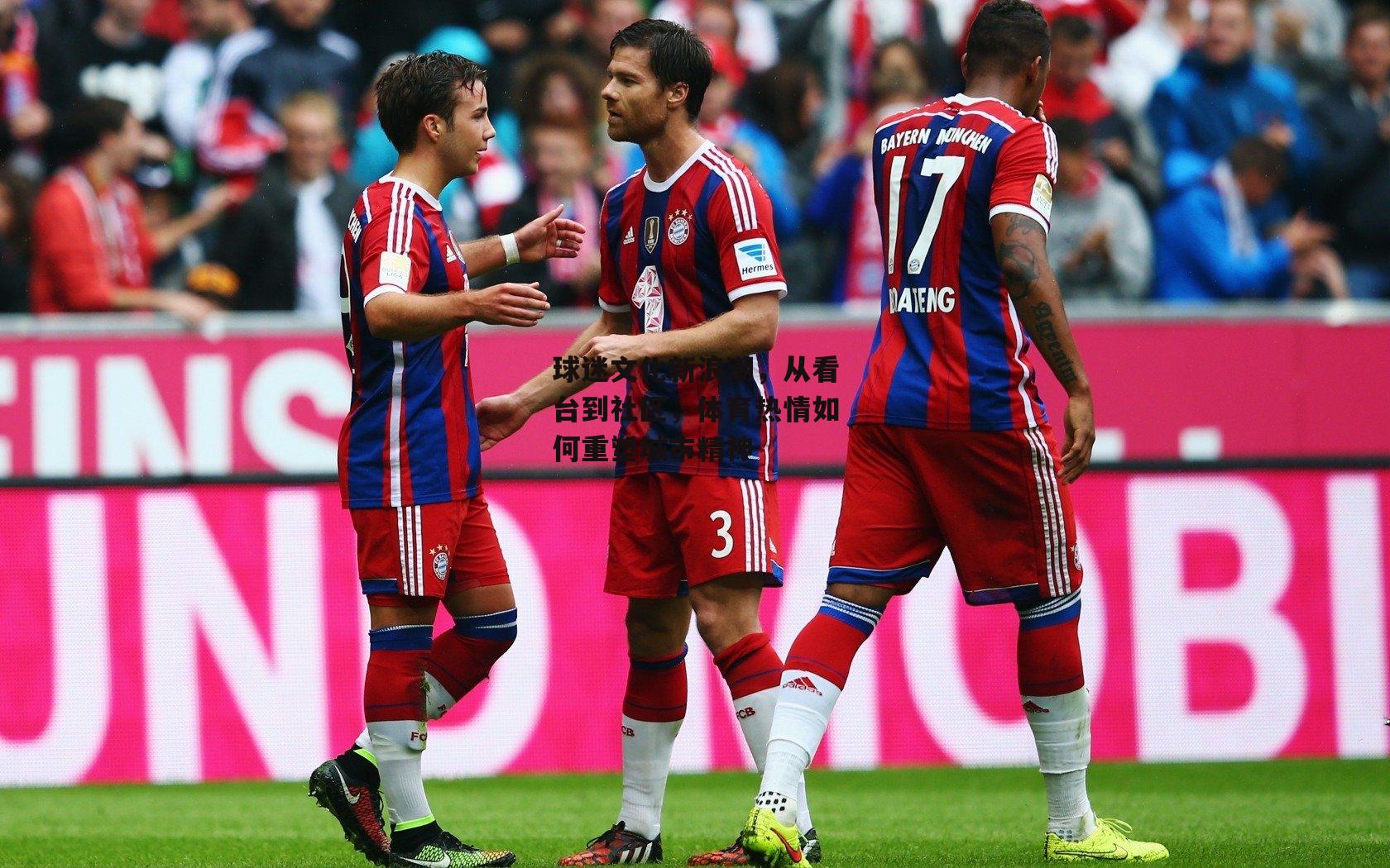 球迷文化新浪潮,从看台到社区,体育热情如何重塑城市精神