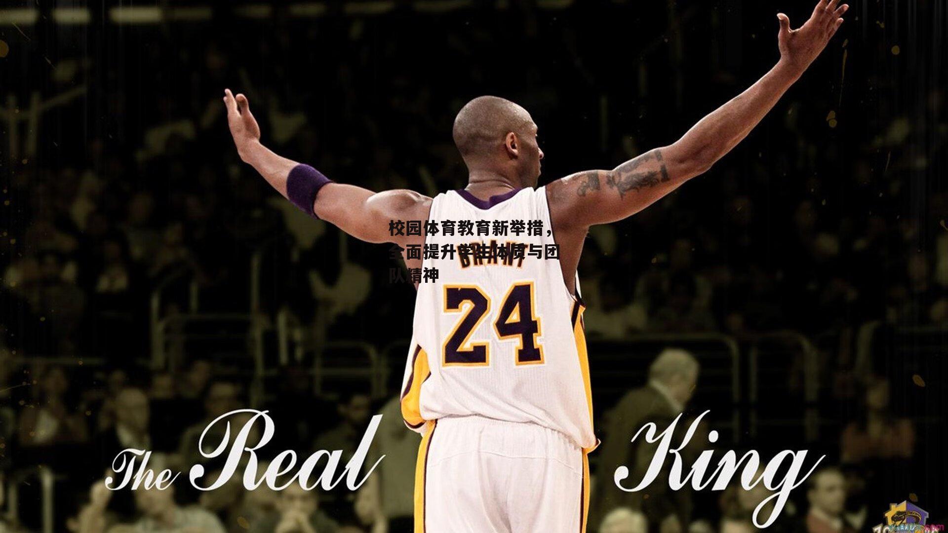 校园体育教育新举措,全面提升学生体质与团队精神